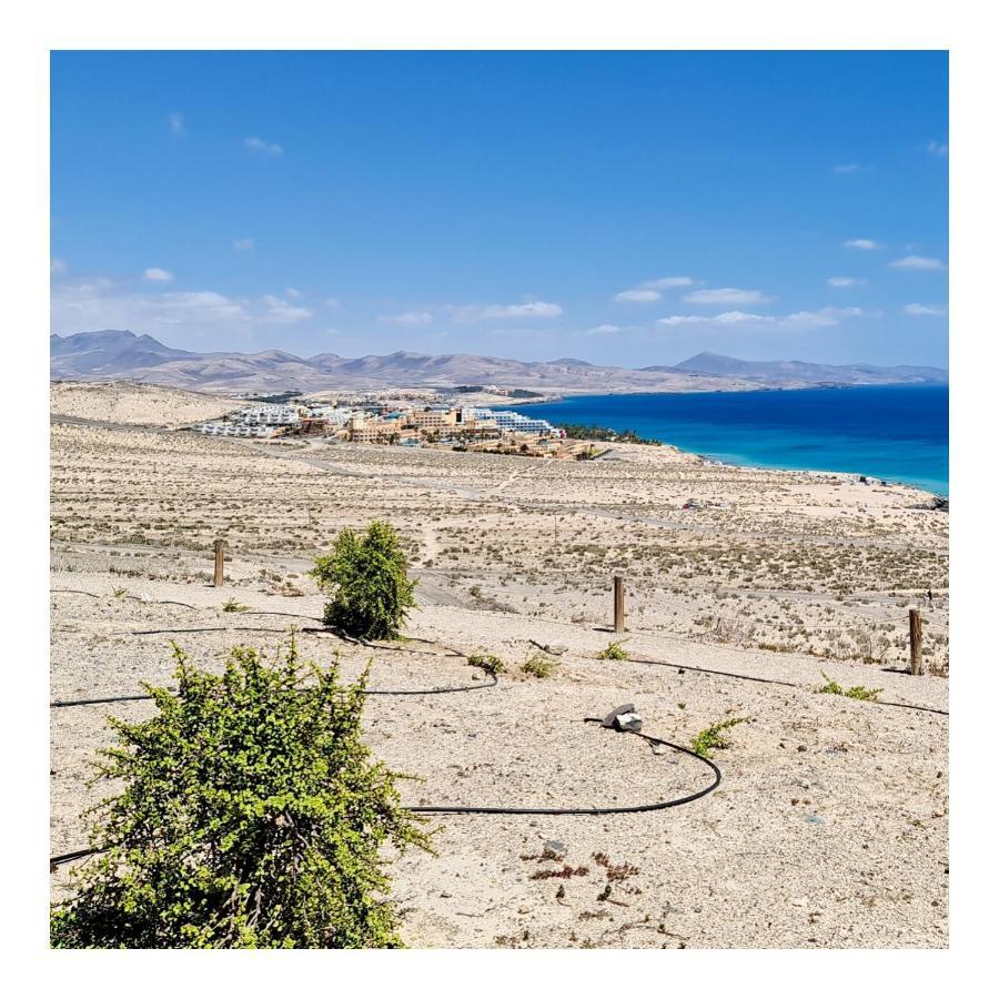 Your Ocean Blue Costa Calma Exterior photo
